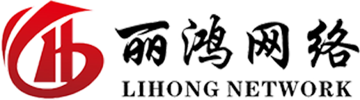 上海丽鸿信息科技有限公司