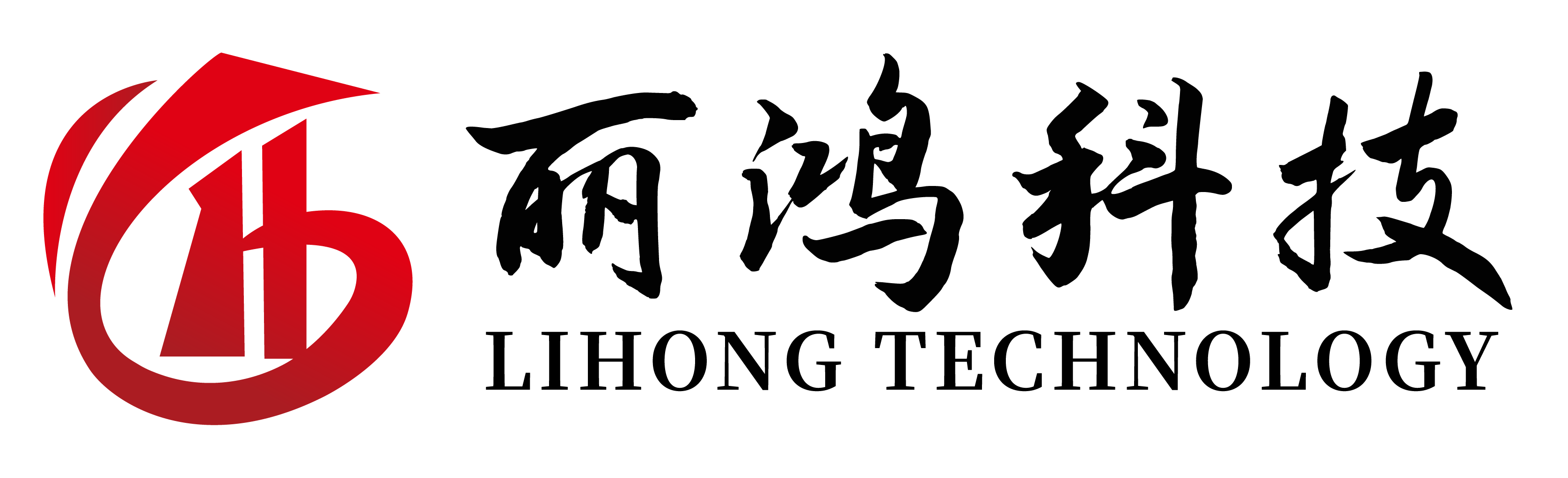 上海丽鸿信息科技有限公司
